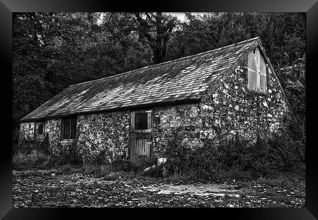 The old tool shed Framed Print by Steven Dunn-Sims