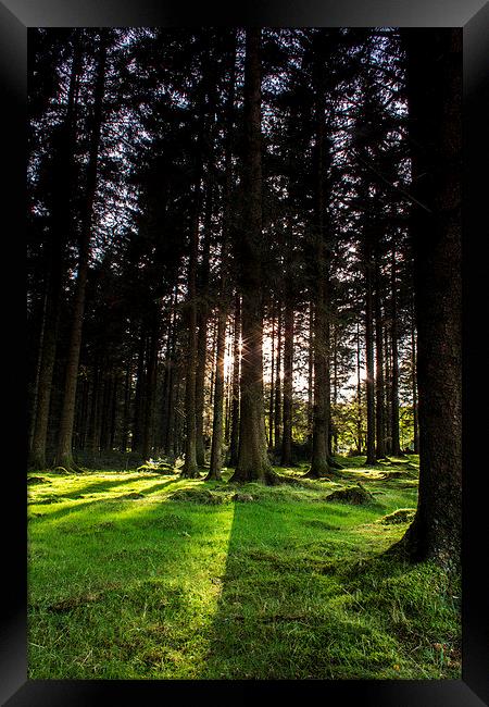 shadows Framed Print by Steven Dunn-Sims