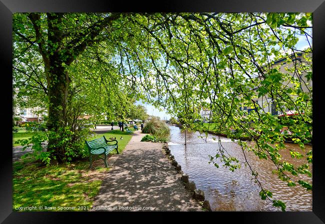 Dawlish Brook in spring time in South Devon Framed Print by Rosie Spooner