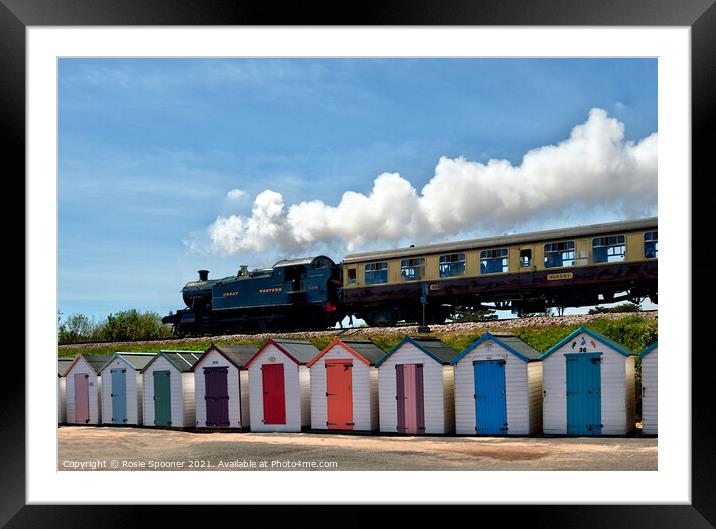 Steam Train Goliath passing the beach huts at Goodrington Beach in Torbay Framed Mounted Print by Rosie Spooner