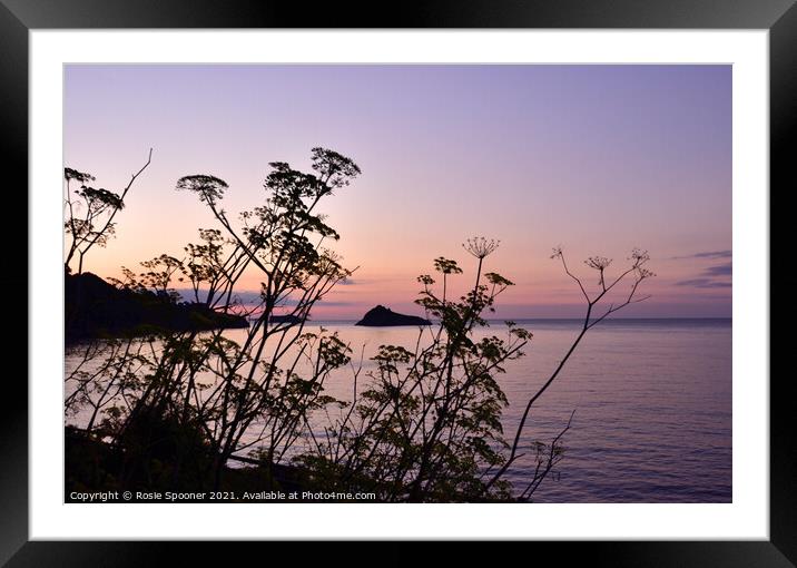 Thatcher Rock through the wild flowers at Meadfoot Beach Framed Mounted Print by Rosie Spooner