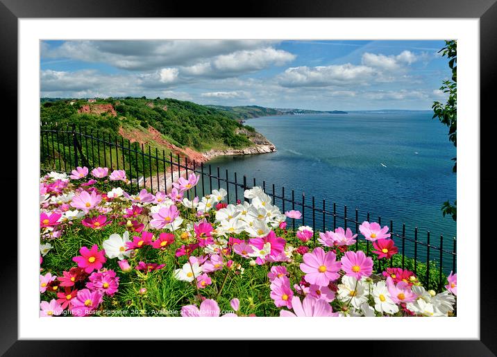 Beautiful flowerbeds at Babbacombe Downs Framed Mounted Print by Rosie Spooner