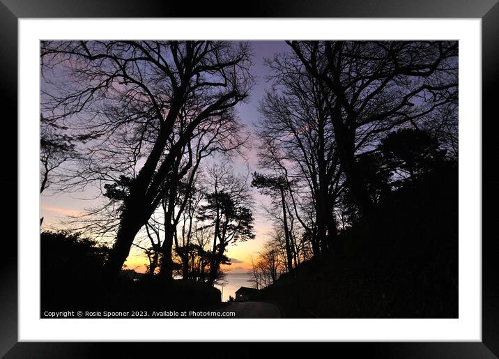 Approaching Meadfoot Beach Framed Mounted Print by Rosie Spooner