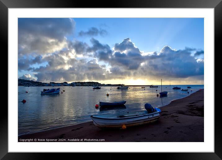 Shaldon Beach  Framed Mounted Print by Rosie Spooner