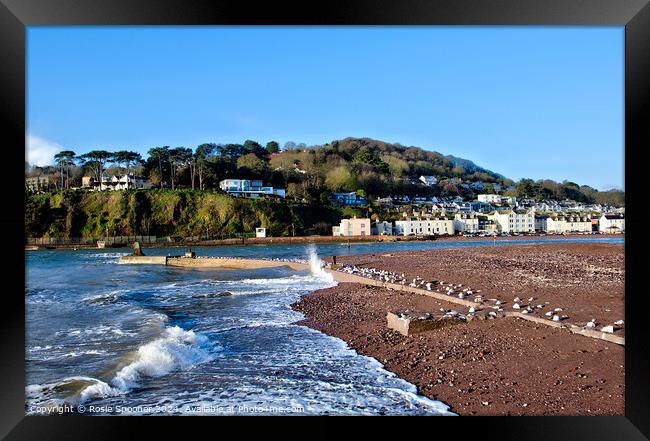 Shaldon View Devon Framed Print by Rosie Spooner