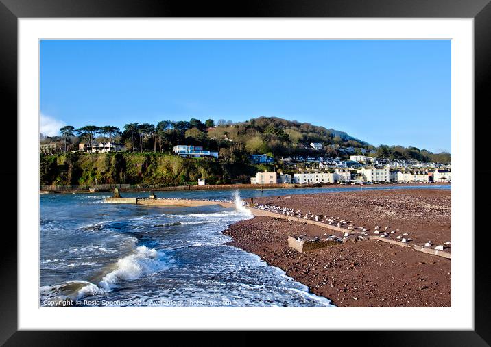 Shaldon View Devon Framed Mounted Print by Rosie Spooner