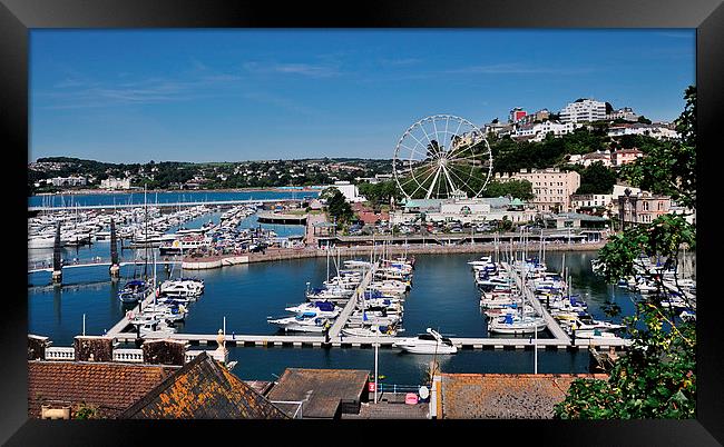 Torquay Harbour and Big Wheel Framed Print by Rosie Spooner