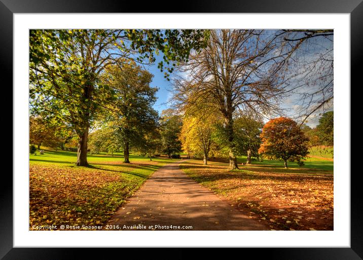Autumn Walk at Cockington Country Park in Torquay Framed Mounted Print by Rosie Spooner