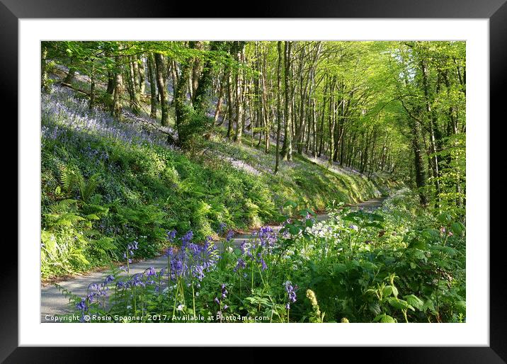 Road through the Bluebell Wood Framed Mounted Print by Rosie Spooner