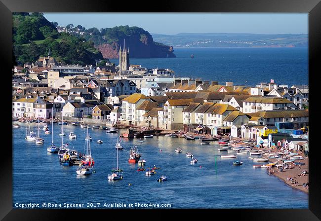 Teignmouth Back Beach and Town viewed from Shaldon Framed Print by Rosie Spooner