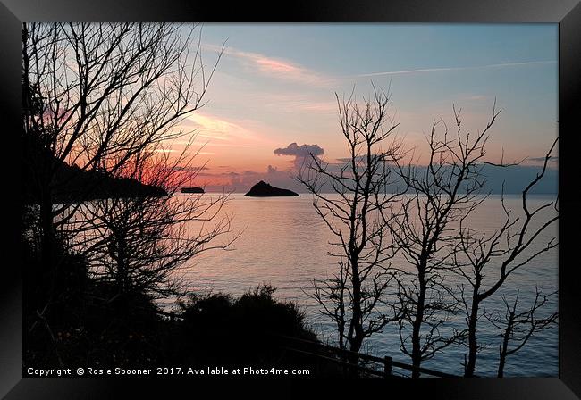 Sunrise at Meadfoot Beach in Torquay through the t Framed Print by Rosie Spooner