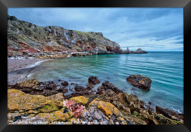 Redgate Beach and Long Quarry Point from Ansteys Framed Print by Rosie Spooner