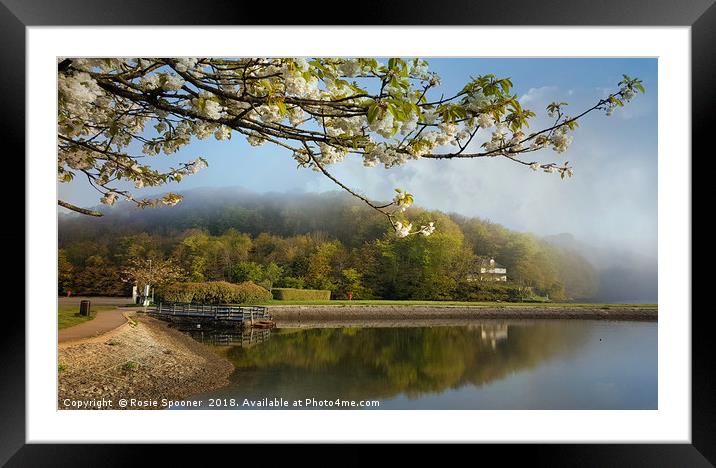 Misty springtime morning at the Millpool in Looe Framed Mounted Print by Rosie Spooner