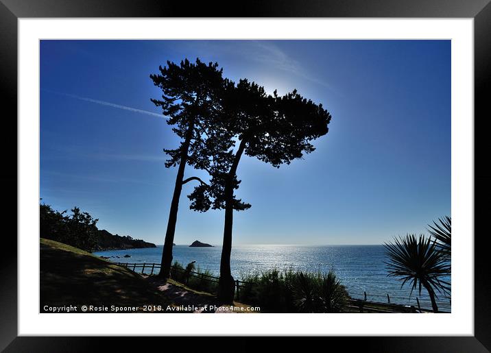 Meadfoot Beach looking towards Thatcher Rock Framed Mounted Print by Rosie Spooner