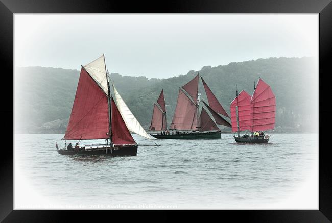 Brixham Heritage sailing boats  Framed Print by Rosie Spooner