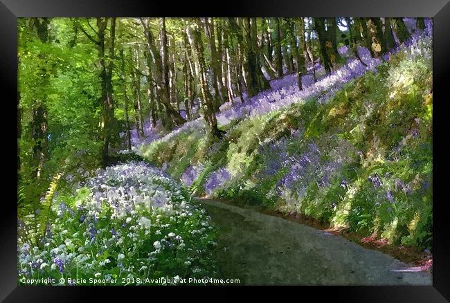 Driving through the bluebells woods near Looe Framed Print by Rosie Spooner