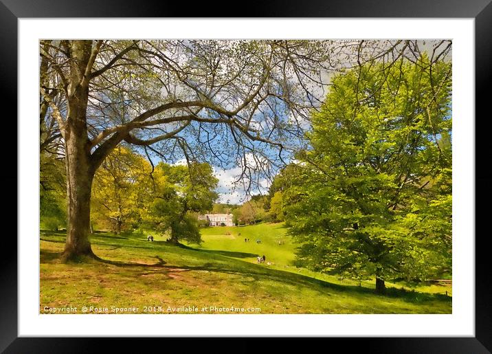 Cockington Country Park Torquay in springtime  Framed Mounted Print by Rosie Spooner