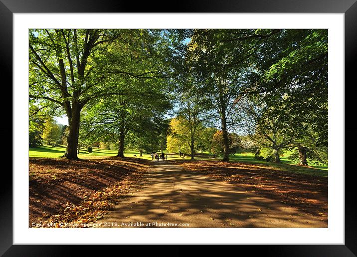 Autumn at Cockington in Torquay Devon Framed Mounted Print by Rosie Spooner