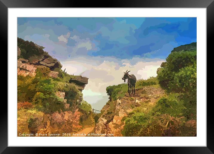 Goat at Valley of The Rocks North Devon Framed Mounted Print by Rosie Spooner