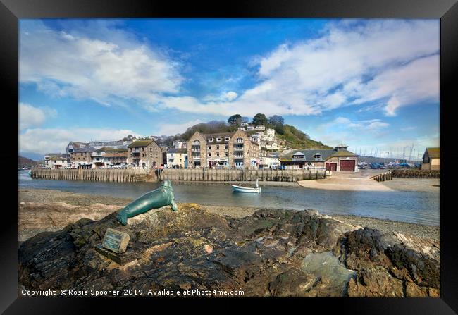 View of Nelson the seal across The River Looe  Framed Print by Rosie Spooner