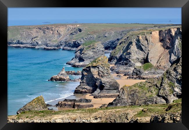 Bedruthan Steps on the North Cornwall Coast  Framed Print by Rosie Spooner