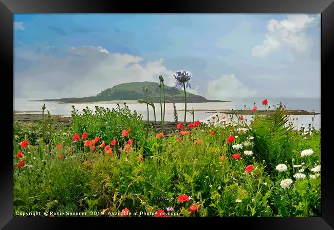 Poppies at Looe looking towards Looe island Framed Print by Rosie Spooner