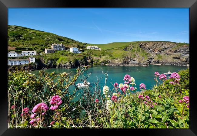 Port Isaac in North Cornwall Framed Print by Rosie Spooner