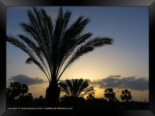 Palm Trees at Sunset Framed Print by Rosie Spooner