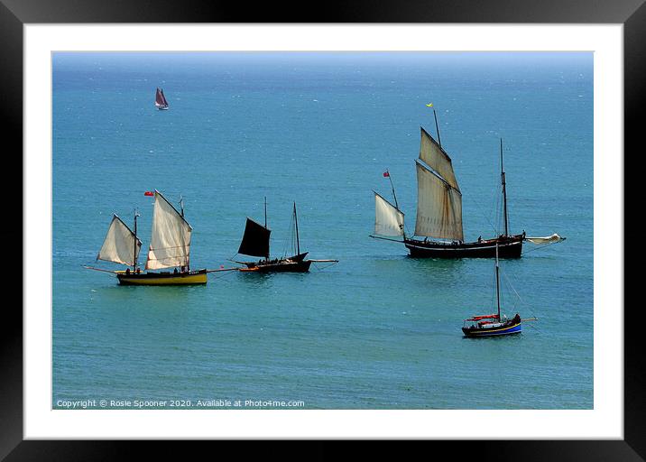 Luggers during Regatta at Looe Framed Mounted Print by Rosie Spooner