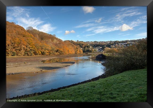The West Looe River in Cornwall in Autumn Framed Print by Rosie Spooner