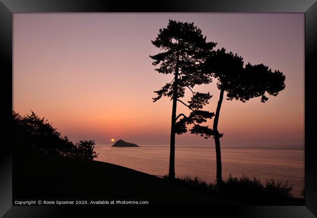 Silhouetted trees at Sunrise at Meadfoot Beach in  Framed Print by Rosie Spooner