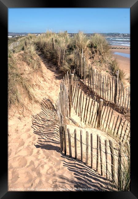 Sand Dunes at Dawlish Warren in South Devon Framed Print by Rosie Spooner