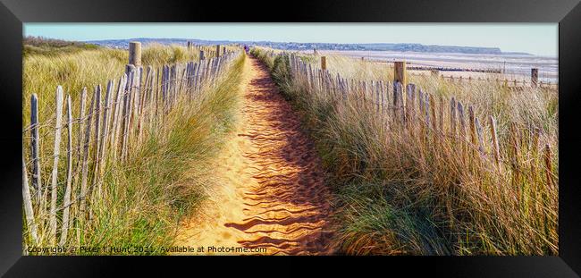 Path Through The Dunes Framed Print by Peter F Hunt