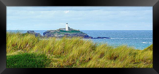Godrevy Lighthouse From The Dunes Framed Print by Peter F Hunt