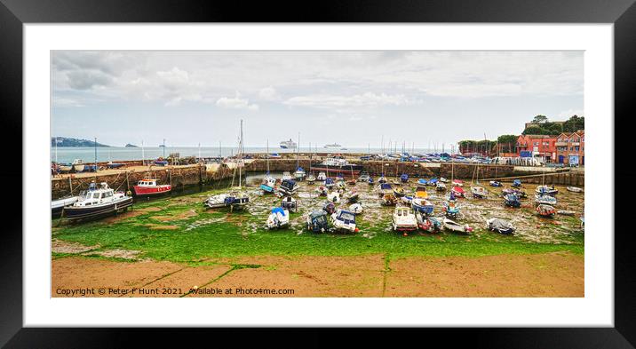 Paignton Harbour Low Tide  Framed Mounted Print by Peter F Hunt