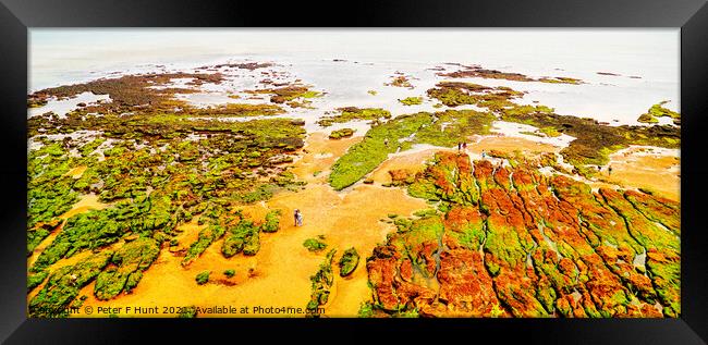 Sidmouth Low Tide Rocks Framed Print by Peter F Hunt