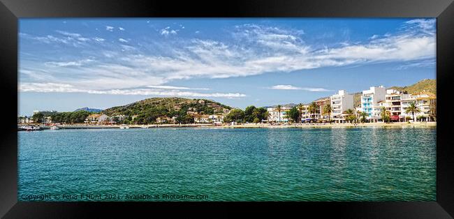 Puerto Pollensa Mallorca Panorama  Framed Print by Peter F Hunt