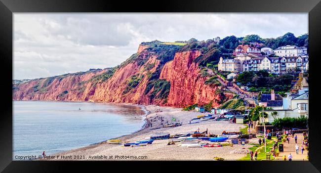 The Red Cliffs Of Budleigh Salterton  Framed Print by Peter F Hunt