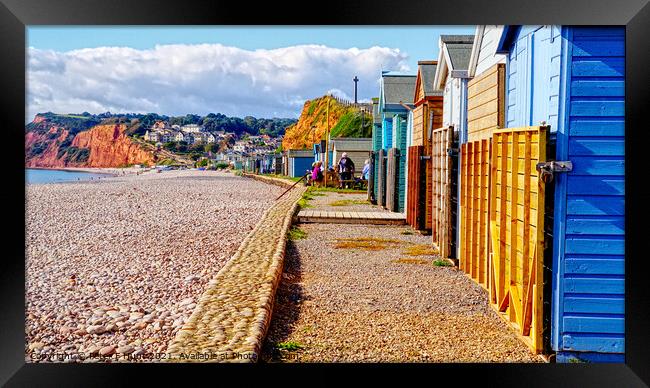 Budleigh Salterton Beach Huts Framed Print by Peter F Hunt