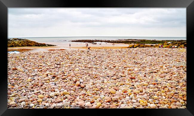 Sidmouth Pebbles And Sand Framed Print by Peter F Hunt