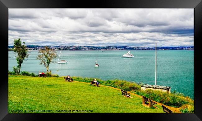 Battery Gardens Brixham Framed Print by Peter F Hunt