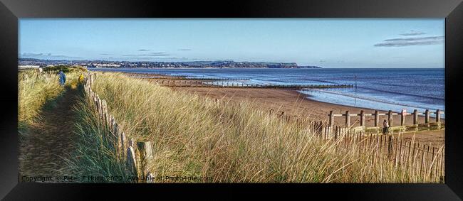 View Over The Dunes Dawlish Warren Framed Print by Peter F Hunt