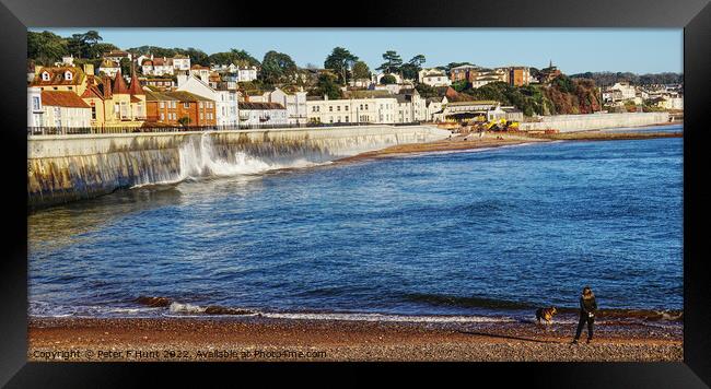 New Sea Wall At Dawlish Framed Print by Peter F Hunt