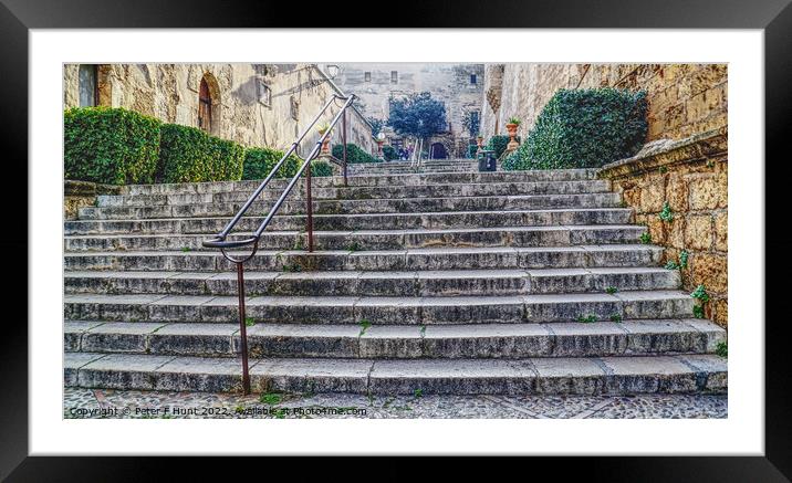 Steps To Palma Cathedral Framed Mounted Print by Peter F Hunt