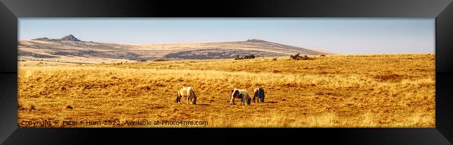 A March Day On Dartmoor Framed Print by Peter F Hunt