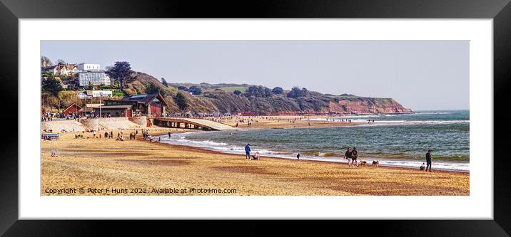Exmouth On The Jurassic Coast Framed Mounted Print by Peter F Hunt