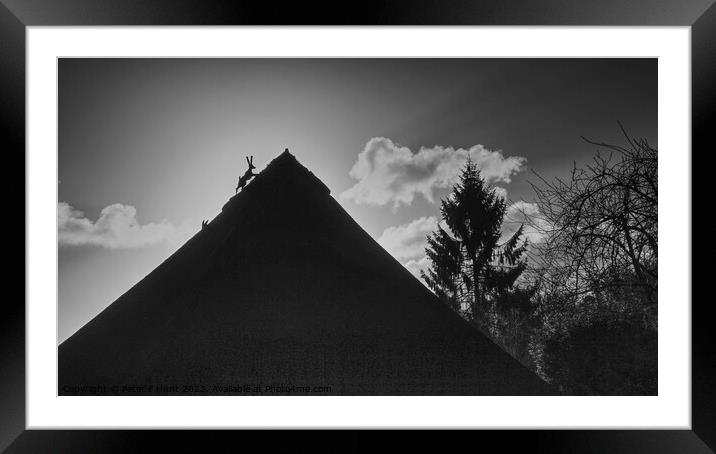 Hare On The Roof Framed Mounted Print by Peter F Hunt