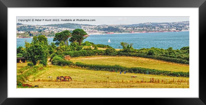 Rural Devon Looking Over Torbay Framed Mounted Print by Peter F Hunt