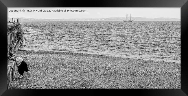 Tall Ship In The Bay Framed Print by Peter F Hunt