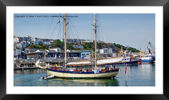 The Tall Ship Maybe In Brixham Harbour Framed Mounted Print by Peter F Hunt